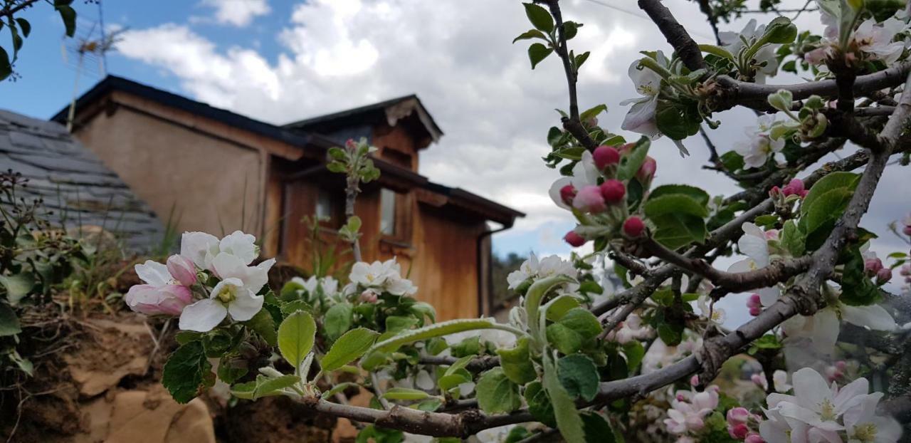 Casa Rural La Jara Blanca Pensionat San Justo de Cabanillas Exteriör bild